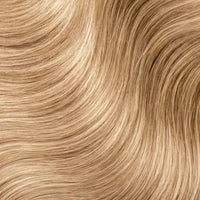 Warm Blonde